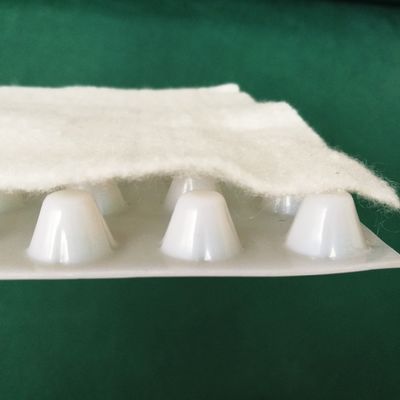 Tabela de drenagem de hotel com geotextil HDPE composto de buracos CE/ISO/ISO14001 certificado