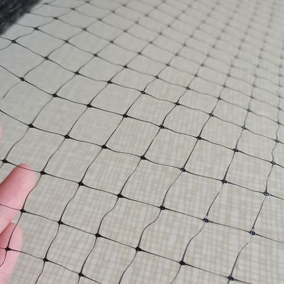 1.5cm malha 27gsm PP Anti Bird Rede para uvas ou árvores frutíferas comprimento personalizado