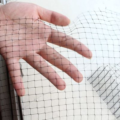 CE ISO Certified Heavy Duty Anti-Bird Net Mesh Trellis Net para horta de estufa de jardim
