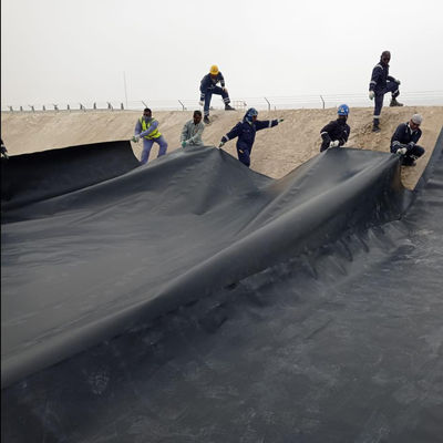 1mm 0.5mm 1.5mm 2mm Hdpe Geomembrana para Peixe de Plástico Camarão Pond Liner Design Estilo