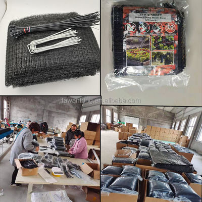 7*100ft PP Material Extrudido Malha Anti-molas Rede Negra de Plástico Rede para Agricultura