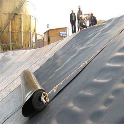 Liner de geomembrana de 1 mm personalizado para biodigestor de aterros sanitários e lago de peixes ou camarões