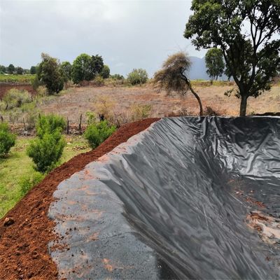 Geomembrana em HDPE de design chinês para aquicultura