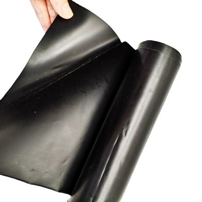 Geomembrana de HDPE preto para revestimento de lagoa de barragem de peixe em estilo de design chinês e 0,1-4mm