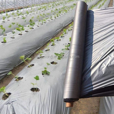 Película de cobertura de plástico de prata para o cultivo agrícola de tomates e batatas de rendimento