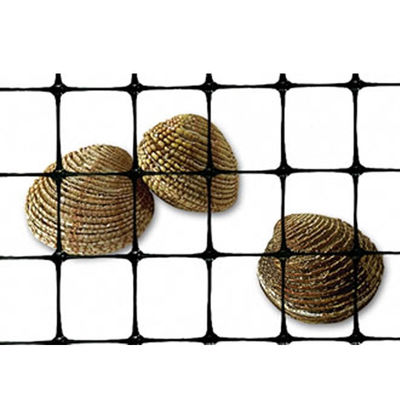 40-40kn PP Bi-axial Geogrid de plástico para construção de estradas e reforço de fundações