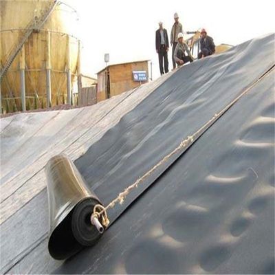 Folha de plástico preto Liner de lago impermeável Geomembrana HDPE 0,2 mm/0,5 mm/1,0 mm/2,0 mm