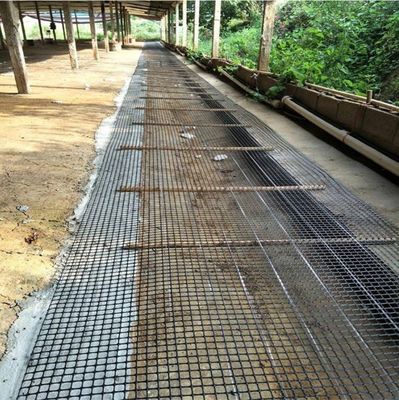 PP 3030KN Biassal Geogrid para proteção contra inclinações na construção rodoviária 12.7*12.7mm Tamanho da malha