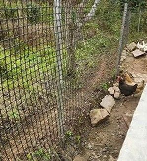 PP 3030KN Biassal Geogrid para proteção contra inclinações na construção rodoviária 12.7*12.7mm Tamanho da malha