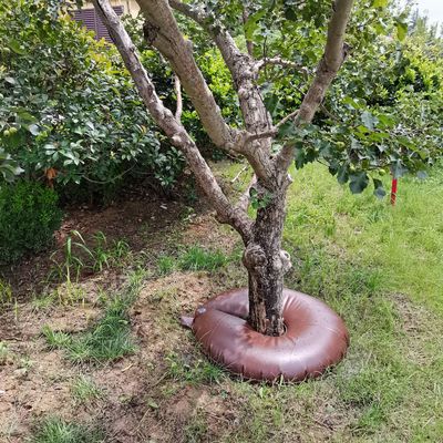 15/20 galões de saco de água de PVC para árvores A solução definitiva para árvores recém-plantadas