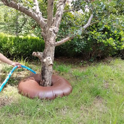 15/20 galões de saco de água de PVC para árvores A solução definitiva para árvores recém-plantadas