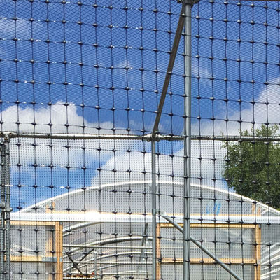 PP Biaxial Geogrid 40kn para o reforço de estradas Elite Venda Negro Estradas de Treinamento Geo Grids