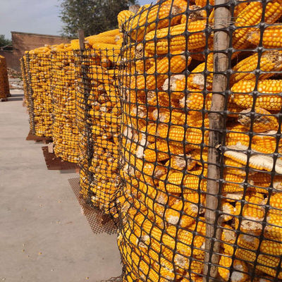 PP Biaxial Geogrid 40kn para o reforço de estradas Elite Venda Negro Estradas de Treinamento Geo Grids