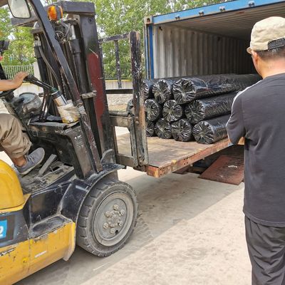 50KN Geogrid de fibra de vidro revestida de betume O produto essencial para o reforço de estradas